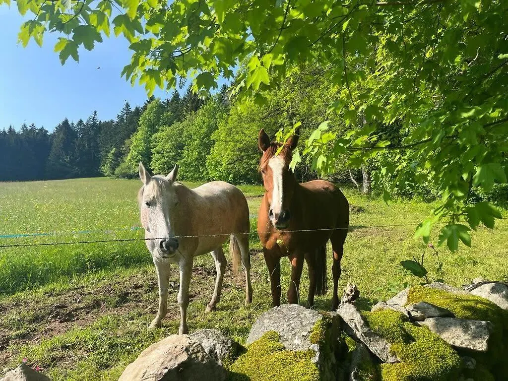 Tiny Des Sucs By Tiny Away Villa Yssingeaux